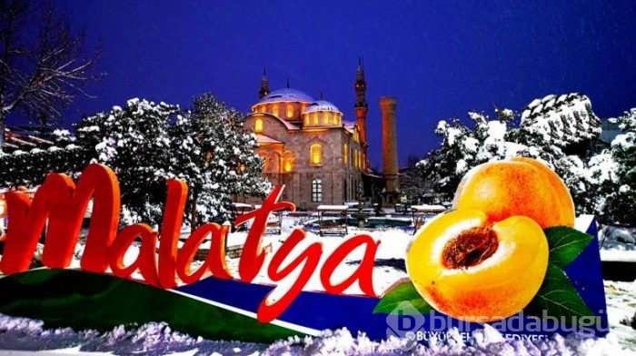 Kayısı şehrinde balık ihracatı 