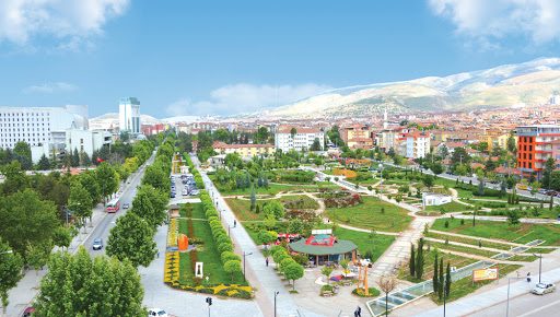 Kayısı şehrinde balık ihracatı 
