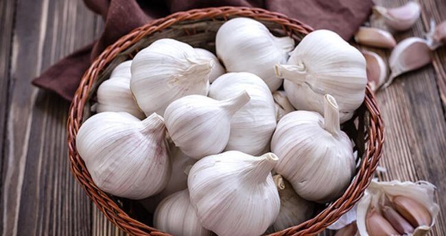 Sarımsağın fiyatı düştü!