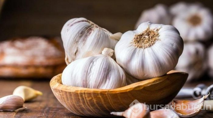 Sarımsağın fiyatı düştü!