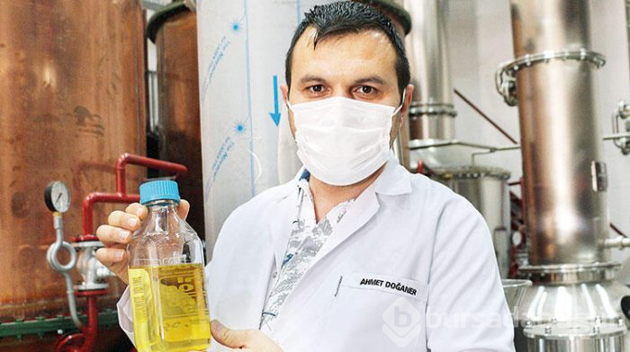 Gül yağının fiyatı 6 bin dolar oldu!