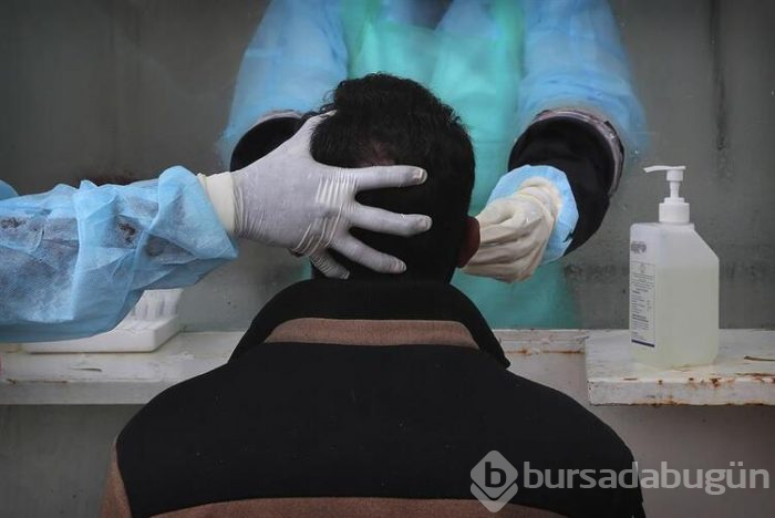 26 hayvan türü insanlara korona virüsü bulaştırabilir!