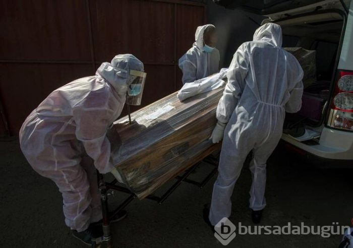 26 hayvan türü insanlara korona virüsü bulaştırabilir!