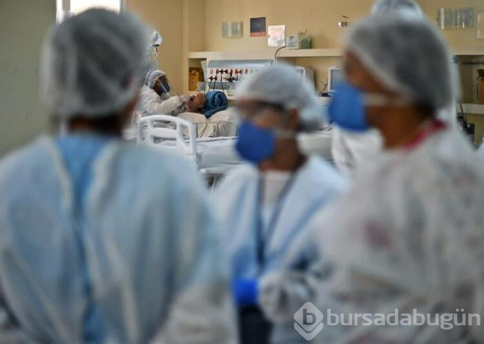 26 hayvan türü insanlara korona virüsü bulaştırabilir!