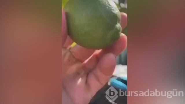 Nusret'e tepki: "O tırnakları kessin"