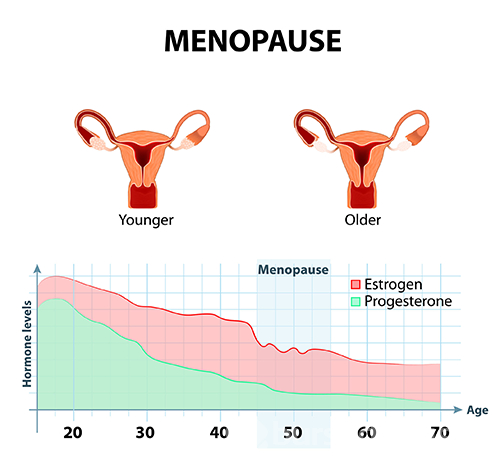 İklim şartları menopoza giriş yaşını etkiliyor!