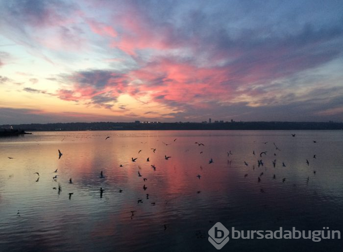 İstanbul'un kuş yuvası Küçükçekmece