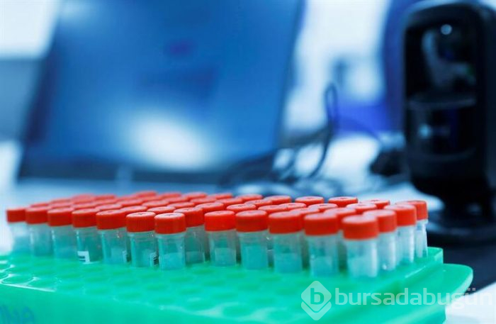 Dikkat! Hangi kan grubunun koronavirüse yakalanma riski daha yüksek?