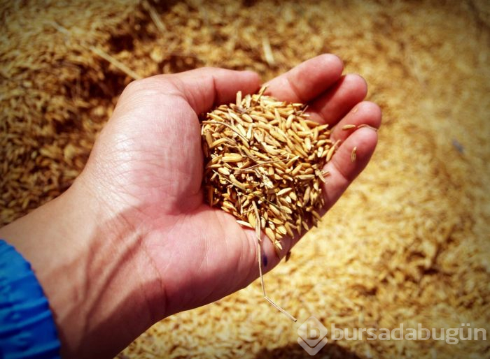 Hangi kan grubu nasıl beslenmeli?