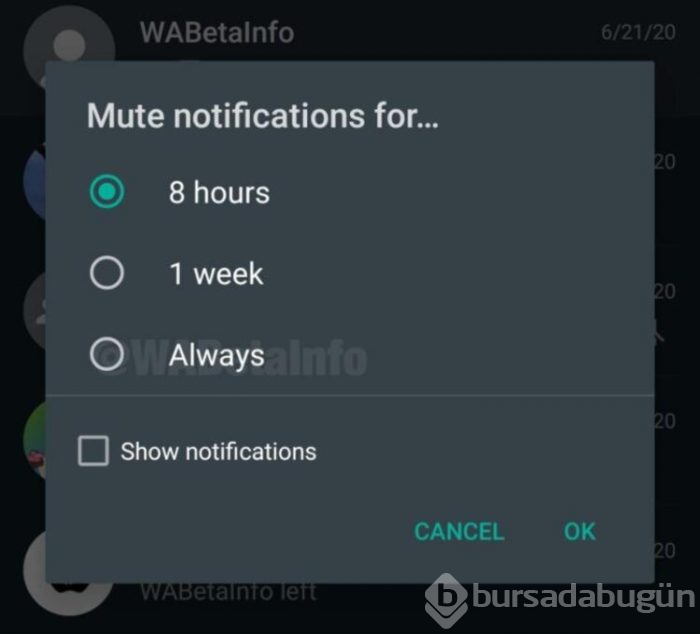 WhatsApp'a yeni güncelleme; Ebedi sessizlik 