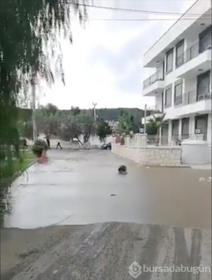 İzmir'deki 6.6'lık depremden kareler