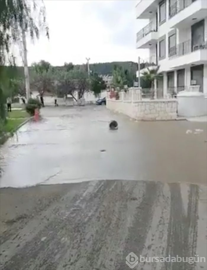 İzmir'deki 6.6'lık depremden kareler