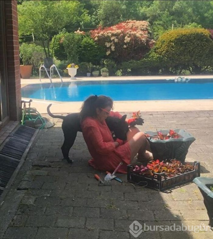 Göksel'in yeni hayatı! İşte ünlülerin gözlerden uzak köy yaşantıları...