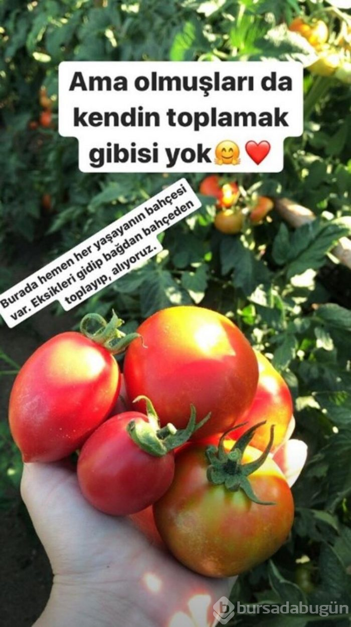 Göksel'in yeni hayatı! İşte ünlülerin gözlerden uzak köy yaşantıları...