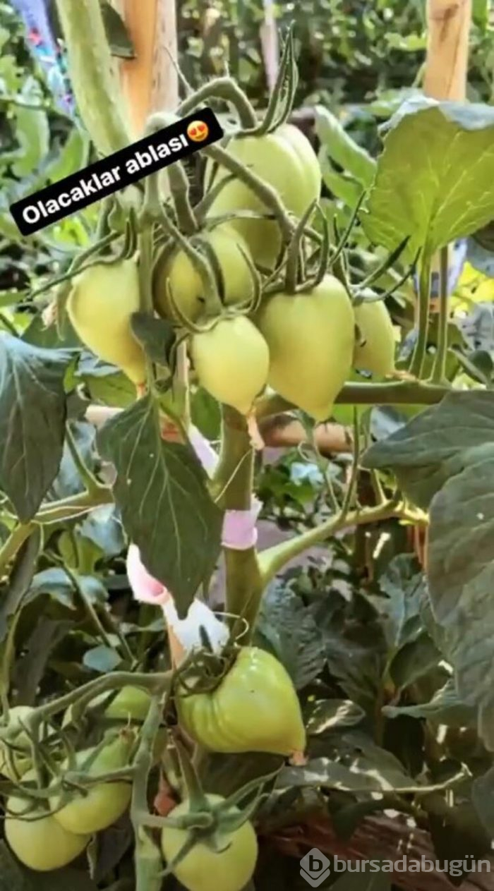 Göksel'in yeni hayatı! İşte ünlülerin gözlerden uzak köy yaşantıları...