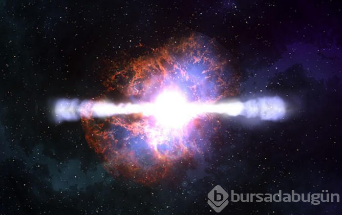 Sivrisinek tehlikesi milyonlarca insanın korkusu olabilir