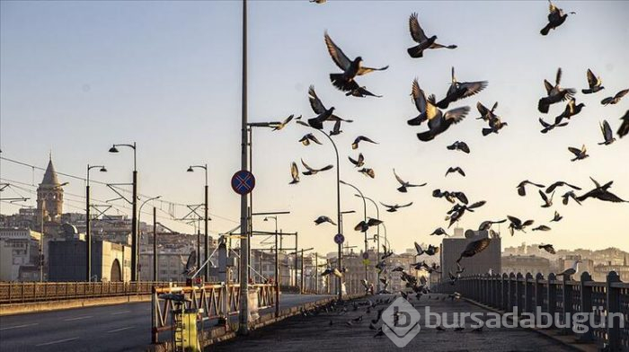 Sokağa çıkma yasağı olacak mı? İşte bu sorunun cevabı...