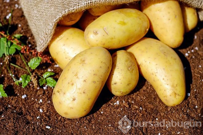 Patatesin bir faydası daha ortaya çıktı! Boyun ağrısına iyi geliyor