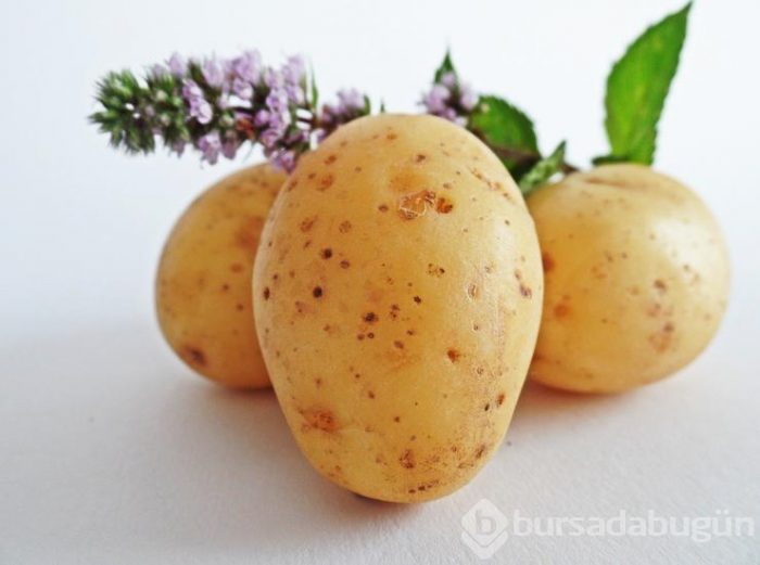 Patatesin bir faydası daha ortaya çıktı! Boyun ağrısına iyi geliyor