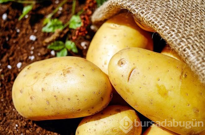 Patatesin bir faydası daha ortaya çıktı! Boyun ağrısına iyi geliyor