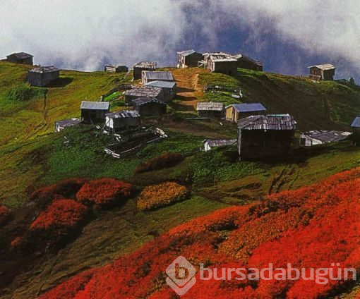 Oksijeni bol 10 adres! Hepsi kasımda birbirinden güzel, sizleri bekliyorlar...