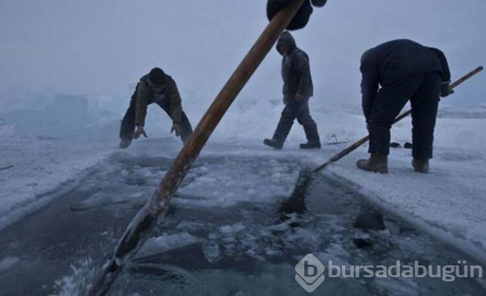 Dünyanın en soğuk kasabası Oymyakon