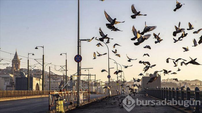 Sokağa çıkma yasağı ne zaman başlıyor? Restoranlar saat kaçta kapanacak? 20 yaş altına kısıtlama geldi mi?