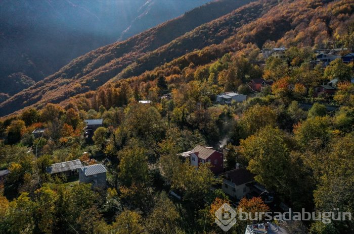 Bursa'da Uludağ'ın eteklerindeki "Çalıkuşu'nun köyünde" sonbahar güzelliği	