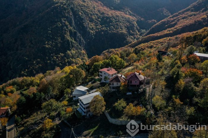 Bursa'da Uludağ'ın eteklerindeki "Çalıkuşu'nun köyünde" sonbahar güzelliği	