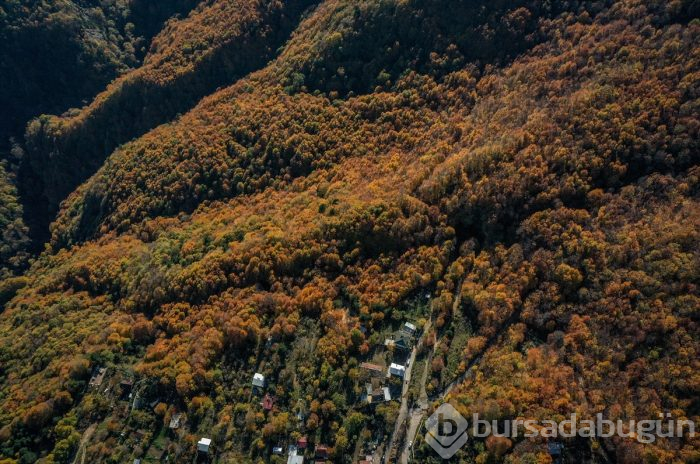 Bursa'da Uludağ'ın eteklerindeki "Çalıkuşu'nun köyünde" sonbahar güzelliği	
