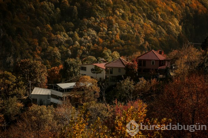 Bursa'da Uludağ'ın eteklerindeki "Çalıkuşu'nun köyünde" sonbahar güzelliği	