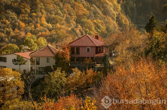 Bursa'da Uludağ'ın eteklerindeki "Çalıkuşu'nun köyünde" sonbahar güzelliği	