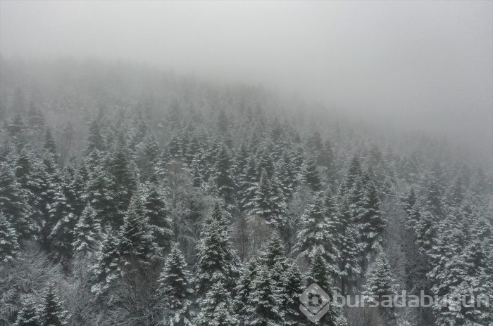 Bursa 
Uludağ'dan kış manzaraları
