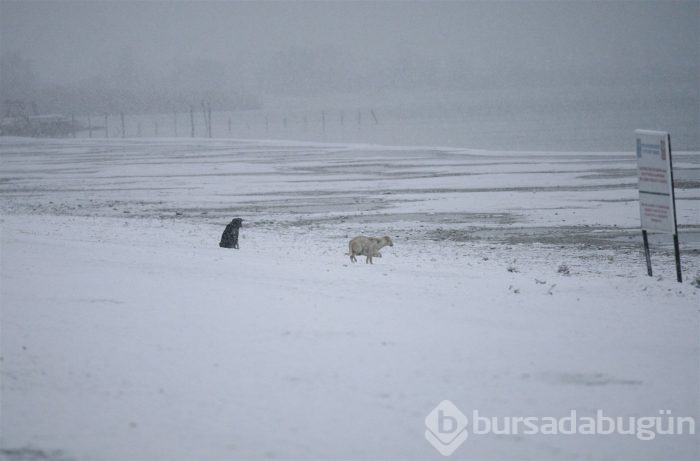 Bursa'dan kar manzaraları