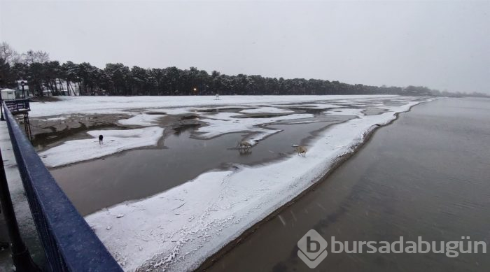Bursa'dan kar manzaraları