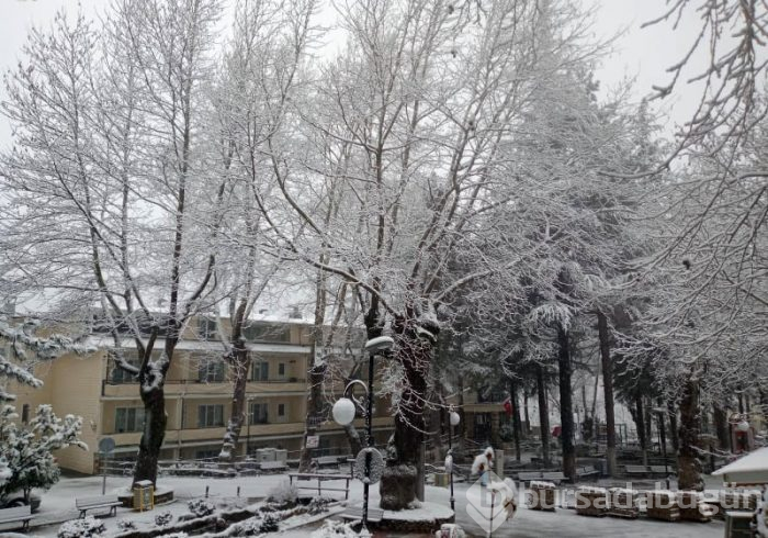 Bursa'dan kar manzaraları