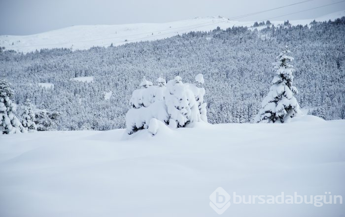 Kar Bursa'ya çok yakıştı