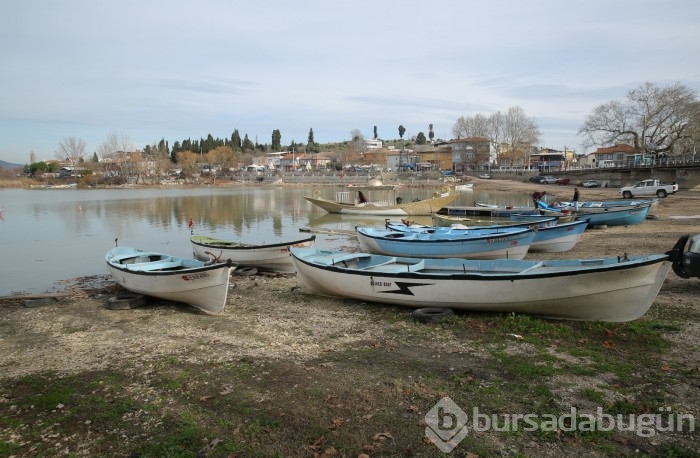 Bursa'da ne kadar Bursalı var?