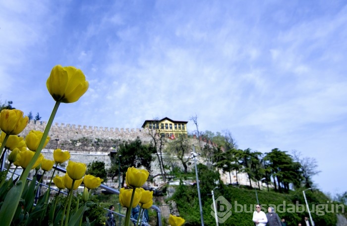 Bursa'da ne kadar Bursalı var?