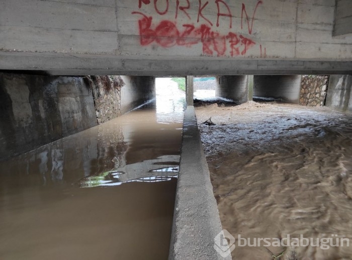 Bursa'da sel alarmı! Dereler taştı