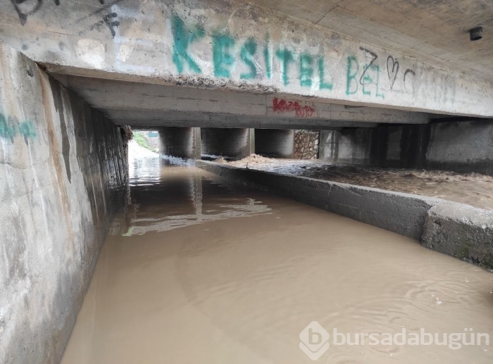 Bursa'da sel alarmı! Dereler taştı