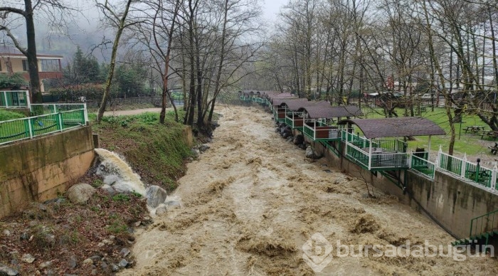 Bursa'da sel alarmı! Dereler taştı
