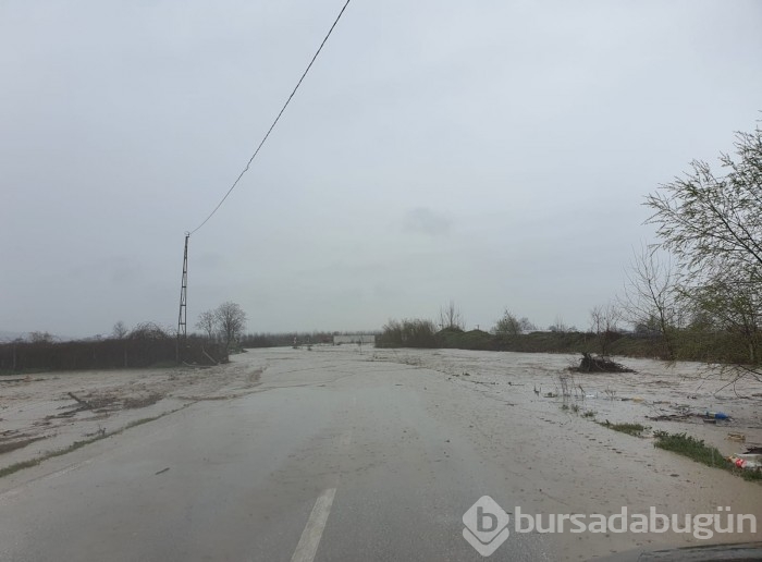 Bursa'da sel alarmı! Dereler taştı