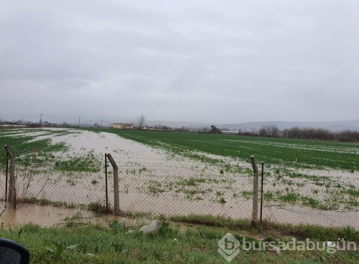 Bursa'da sel alarmı! Dereler taştı