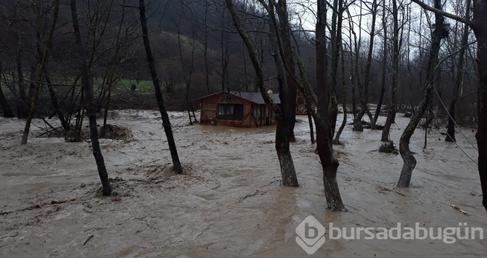 Bursa'da sel alarmı! Dereler taştı