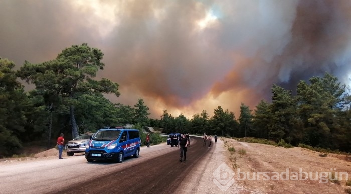 Manavgat'ta orman yangını	
