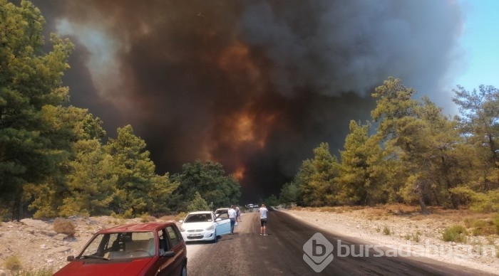 Manavgat'ta orman yangını	