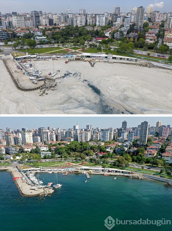 Marmara sahillerinde müsilaj etkisini yitirdi