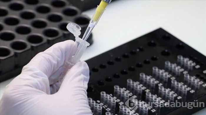 13 soruda, PCR testi hakkında tüm merak edilenler...