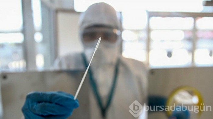 13 soruda, PCR testi hakkında tüm merak edilenler...